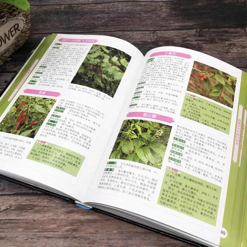 خلاصة أطلس الألوان الأصلية للطب الصيني التقليدي في الصيدلة الصينية #2