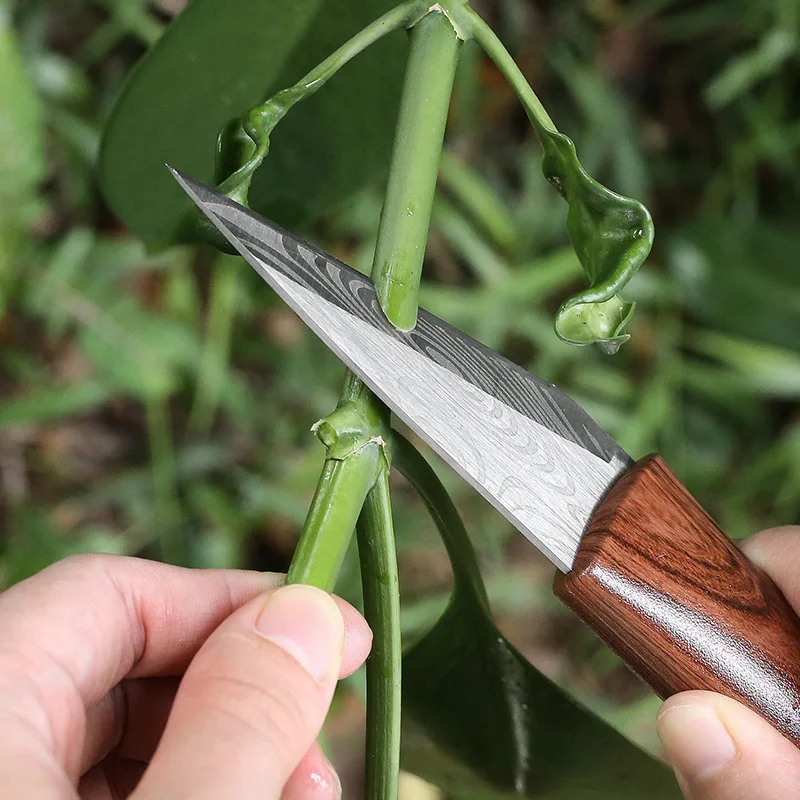 

Sprout Grafting Knife for Garden Fruit Trees Specialized Tool for Grafting Fruit Trees for Grafting Branches Super Sharp