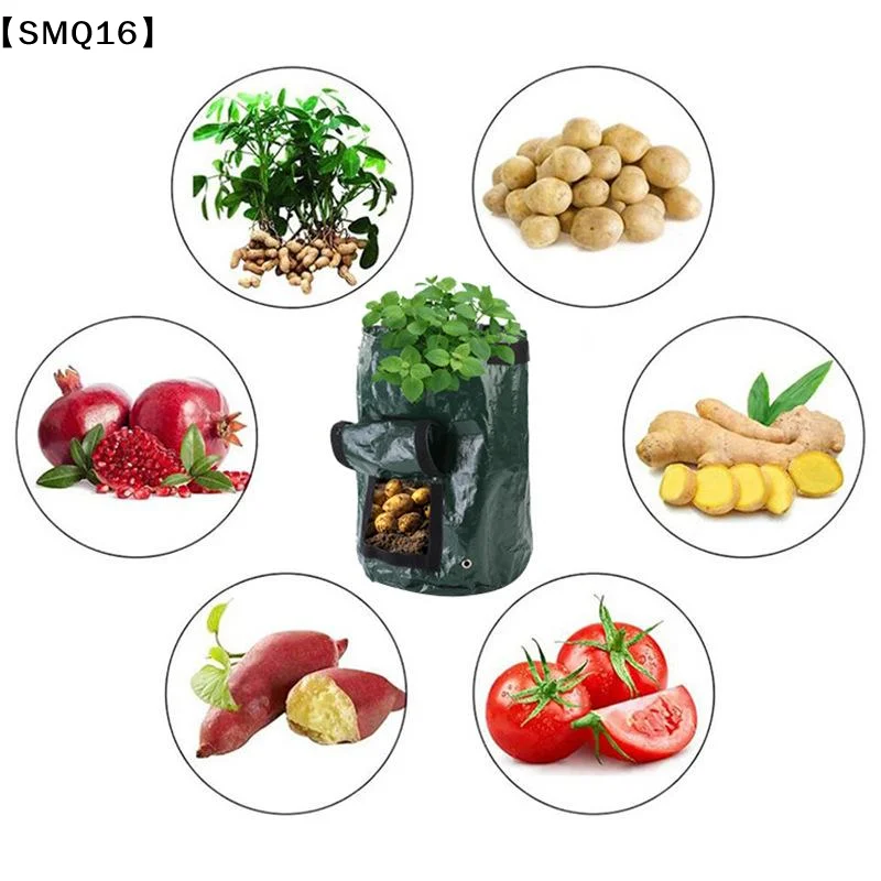 1PC Potato Planting Bags Breat - Vegetable Transplanter ulasan dan harga