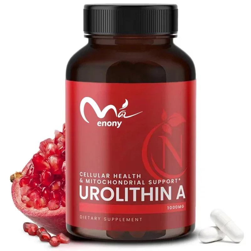 

Urolithin A 1000mg - Contains 250mg of urinary lipoprotein A, mitochondrial function, and overall cellular health -60 capsules