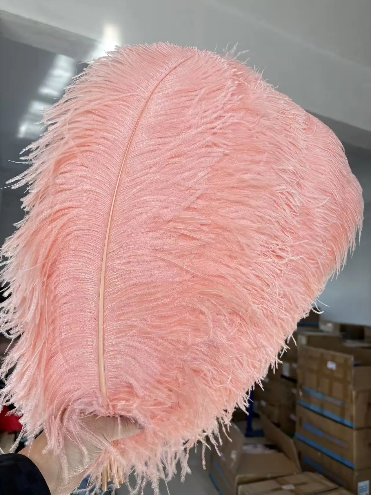 

10pcs Champagne Ostrich Feathers Plumas 60 65CM 24 26Inch Natural Craft Supply DIY Wedding Decoration Jewelry Making Party Decor