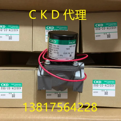 CKD Solenoid Valve DSG-15-AC200V DSG-20-AC200V DSG-25-AC200V Genuine