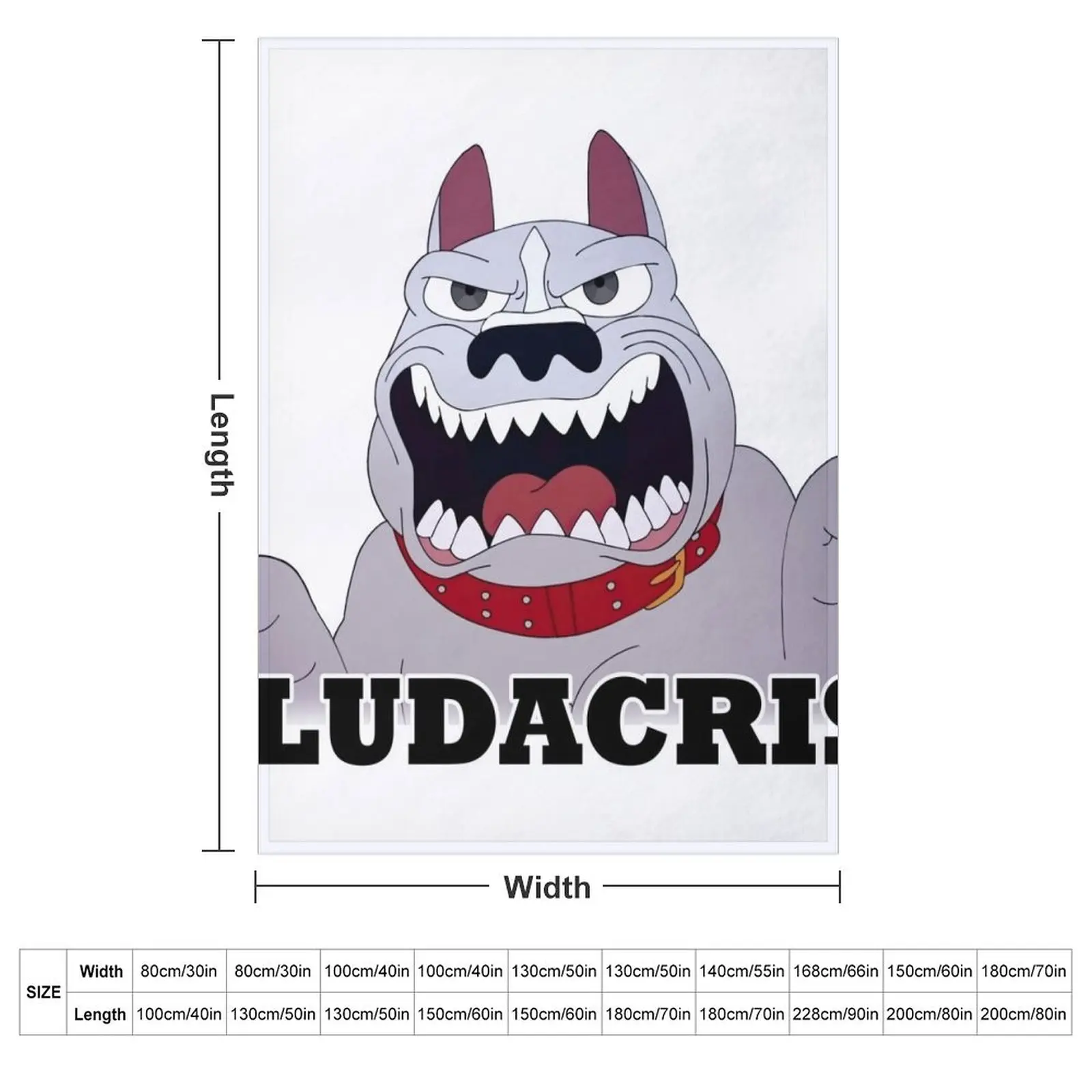 BIG MOUTH Featuring Ludacris Pitbull Throw Blanket couch cozy soft plush fuzzy picnic outdoor blanket