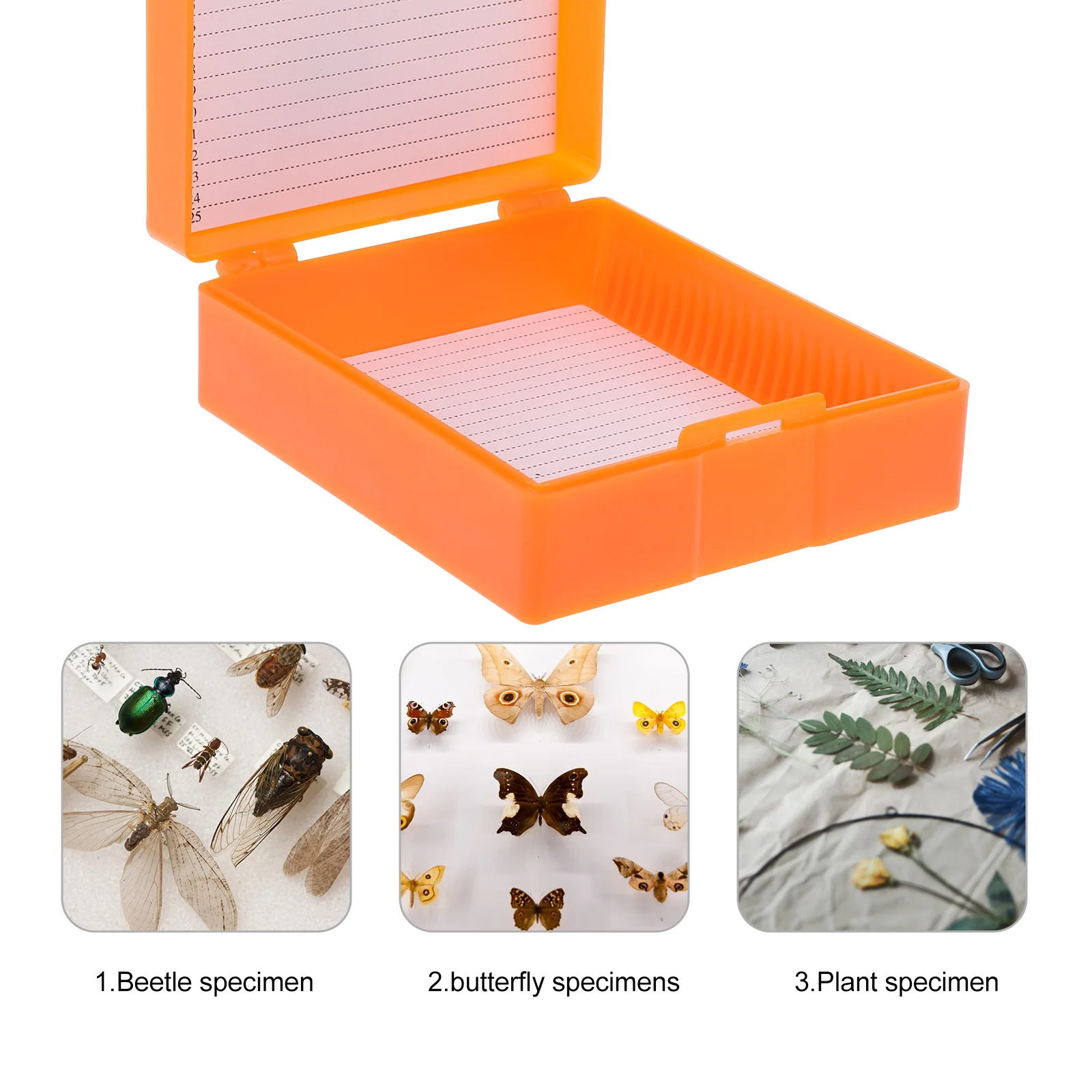 

Microscope Slide Plates Storage Tray Pencil Case Holder Abs Accessories Storing Tool