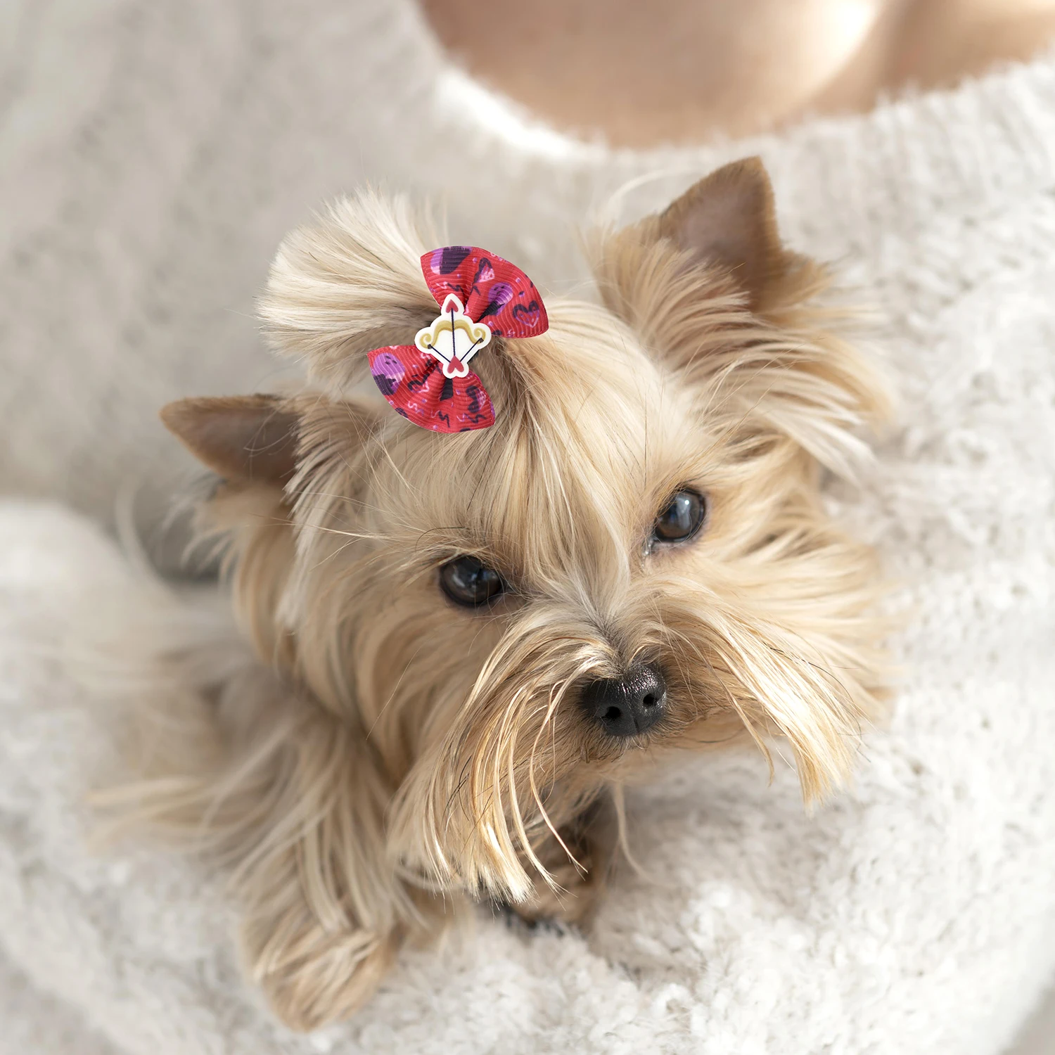 50/100Pcs Valentine\'s Day Dog Hair Bows With Rubber Bands Lovely Pets Hair Grooming Bows Girls Dogs Cat Hair Bowknot Accessories