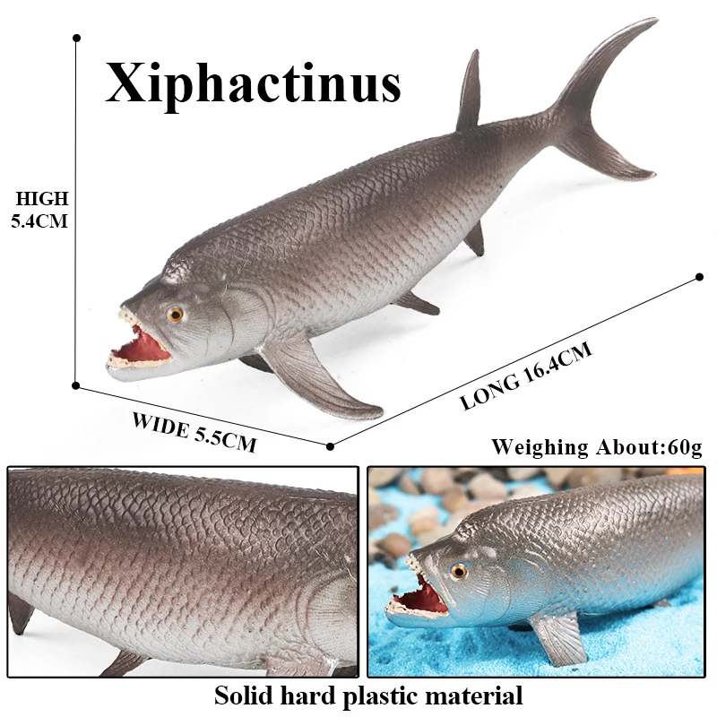 Oenux Sea Life Modell Clownfisch Lachs Bass Marine Ozean Tier Actionfiguren PVC Hochwertige Bildung Miniatur Strand Kinderspielzeug – Detail 9