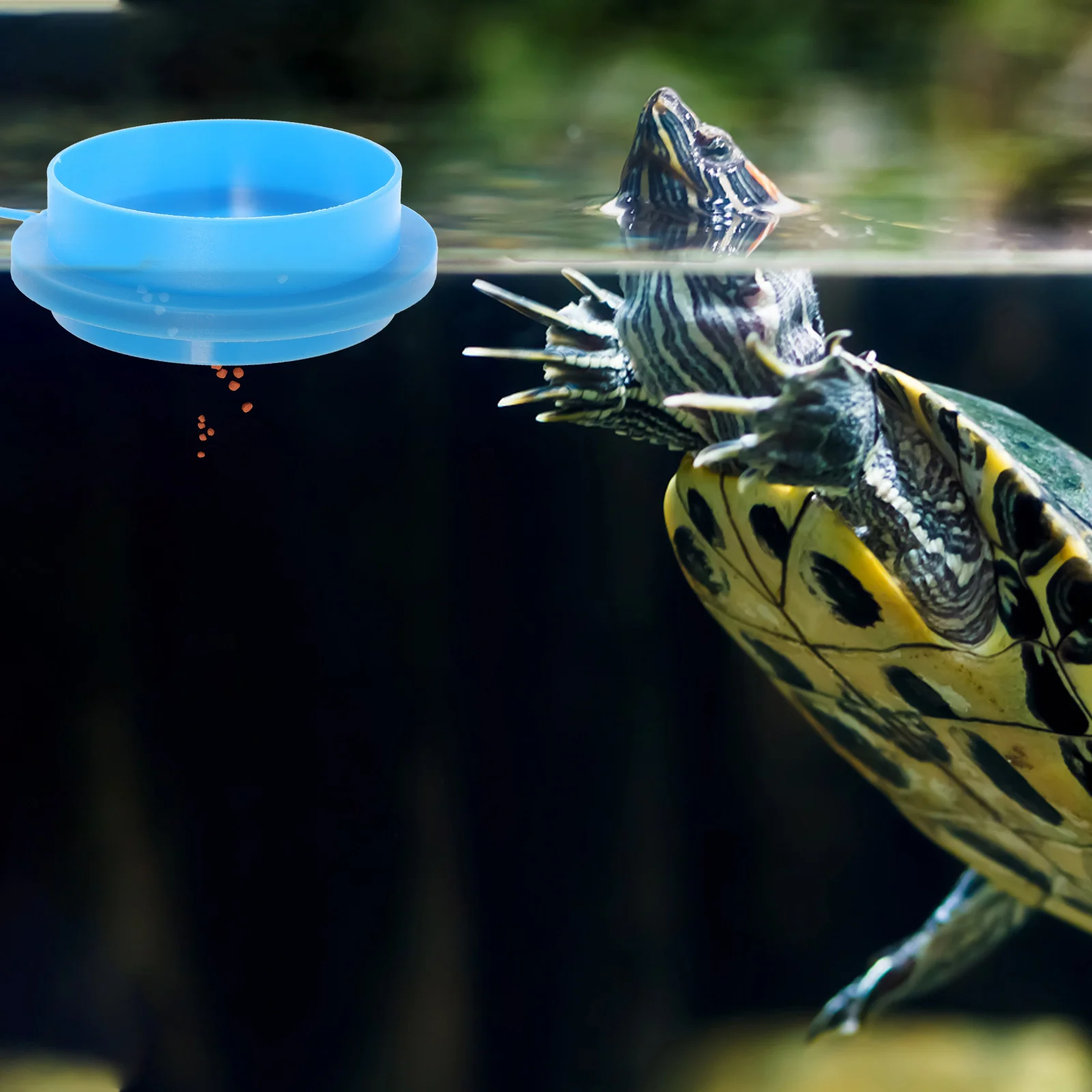 

NOLITOY 4Pcs Aquarium Auto Feeder Fish Tank Floating Food Feeding Accessory for Flakes