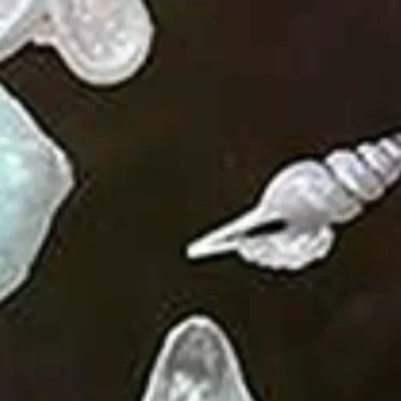 1-шт-3d-акриловая-форма-для-ногтей-в-виде-цветка-лилии-морской-раковины-коралла-морской-звезды-силиконовая-форма-для-маникюра-форма-для-дизайна-ногтей-украшения-для-ногтей-diy