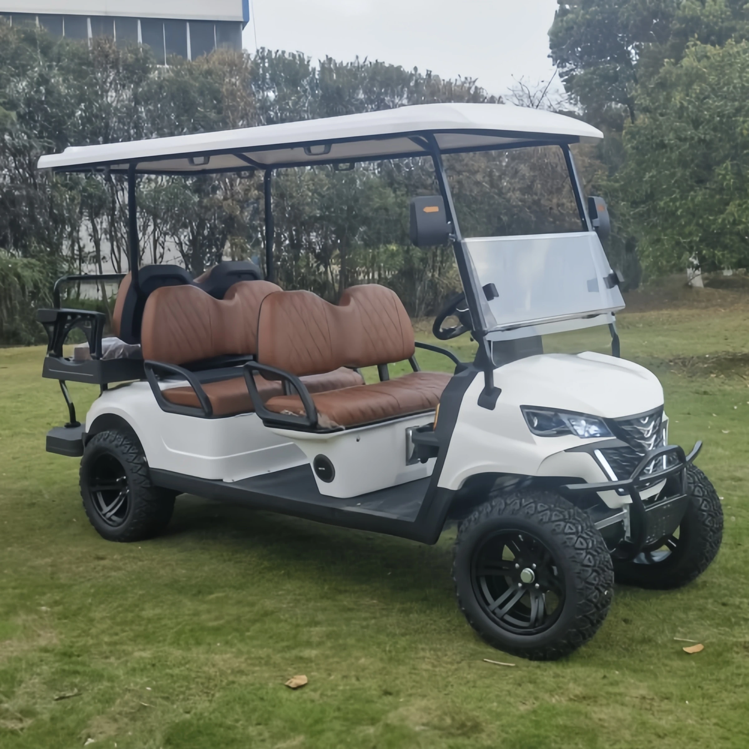 High Quality gas golf cart 6 seater off road golf buggy lithium battery electric golf cart