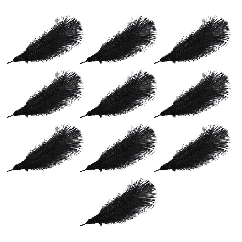 10 Pcs Ostrich DIY Goose Decorative Feathers Adornment Household Natural