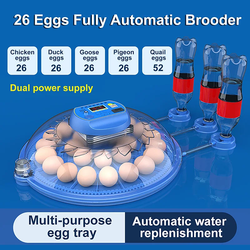 

26 Eggs Electric Incubator High Quality Intelligent Automatic Egg Turning Incubator 50Hz Frequency Mini Household Eggs Incubator
