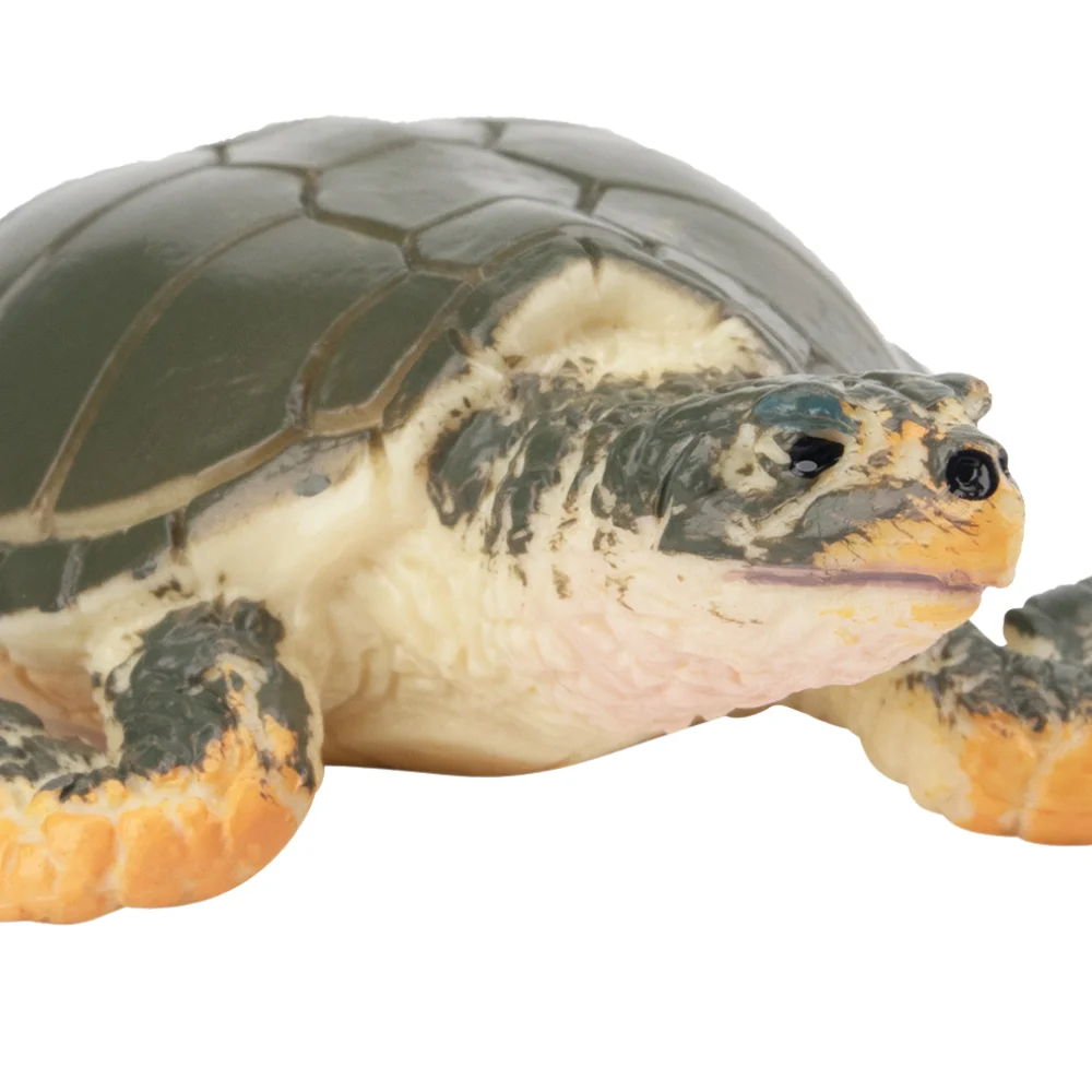 Toymany Simulatie Kemp's Ridley Zee Oceaan Diermodel Speelgoed Mini Figuren Poppen Actie Beeldjes Speelgoed Kinderen Gift Cake Decora