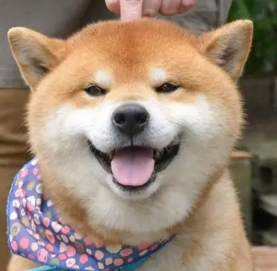 

For Ford Edge MK2 2015-2023 2016 2017 2018 Wiper Front Wiper Blades Windshield Windscreen Window Brush 28''+28''Car Accessories