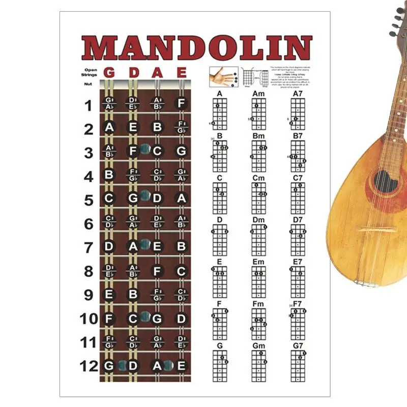 Mandolin Chord Chart Poster Mandolin Learning Tools Fret Board Notes Cheat Sheet Concise Fingering Diagram Poster Music Theory