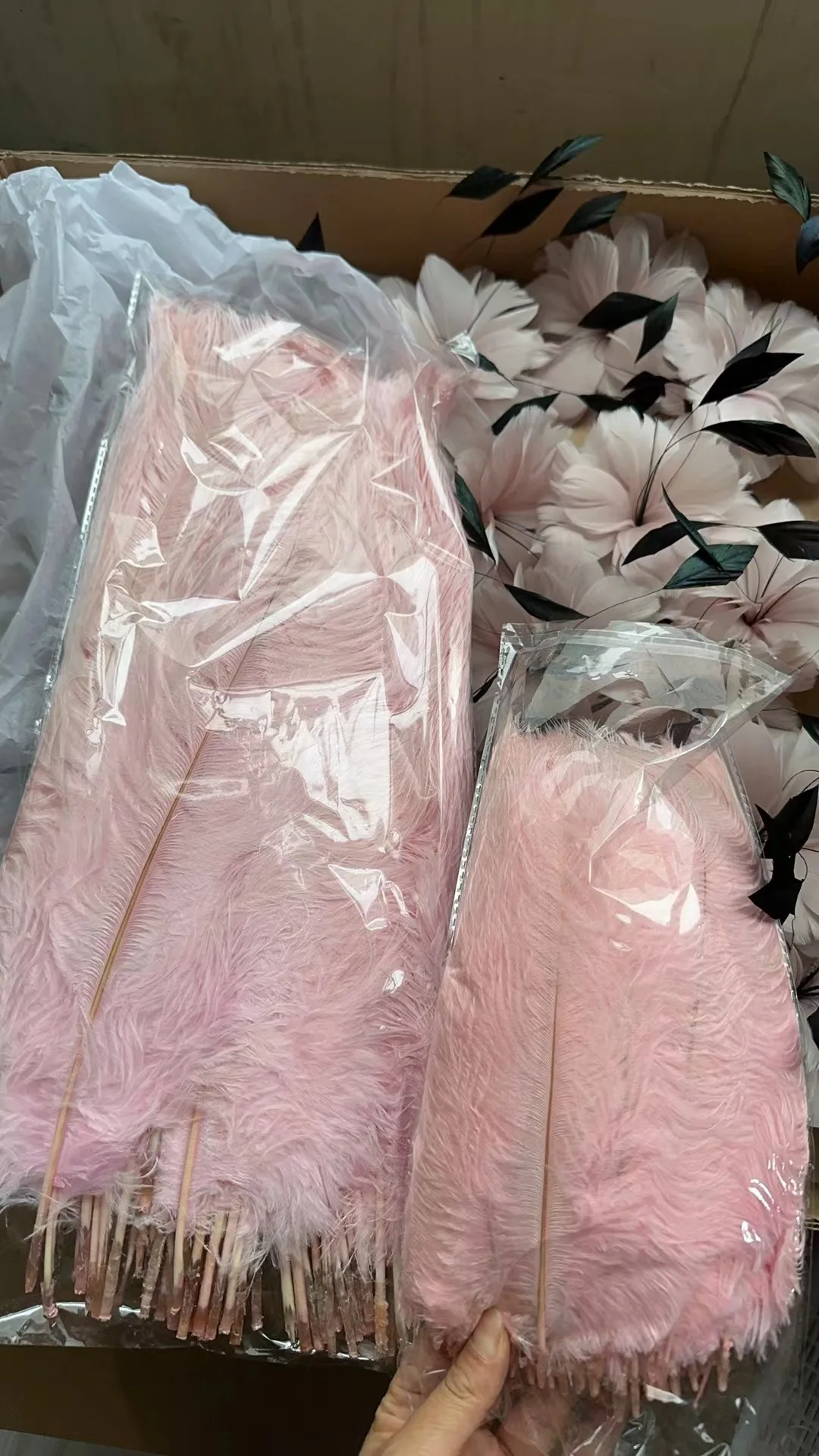 

Size 45-50 cm 800 PCs Size 25-30 cm 1000 PCs light pink ostrich feathers