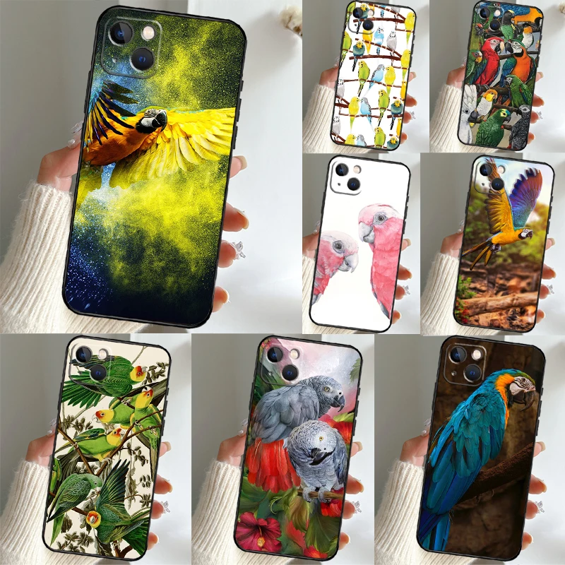 Animal Parrot Birds… - image