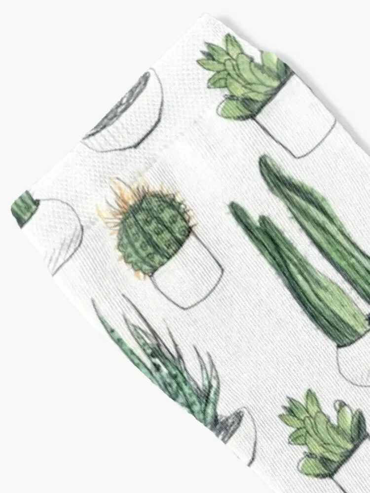 Watercolour cacti & succulents Socks Run sports and leisure Antiskid soccer cycling Boy Child Socks Women's