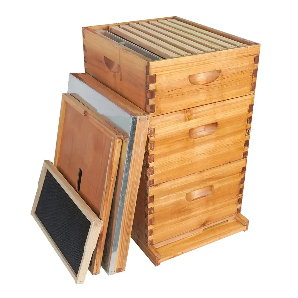 High Quality Honey Beekeeping Equipment Cheap Price Langstroth Wax Coated Bee Hive Beekeeping Wax Beehive House Box