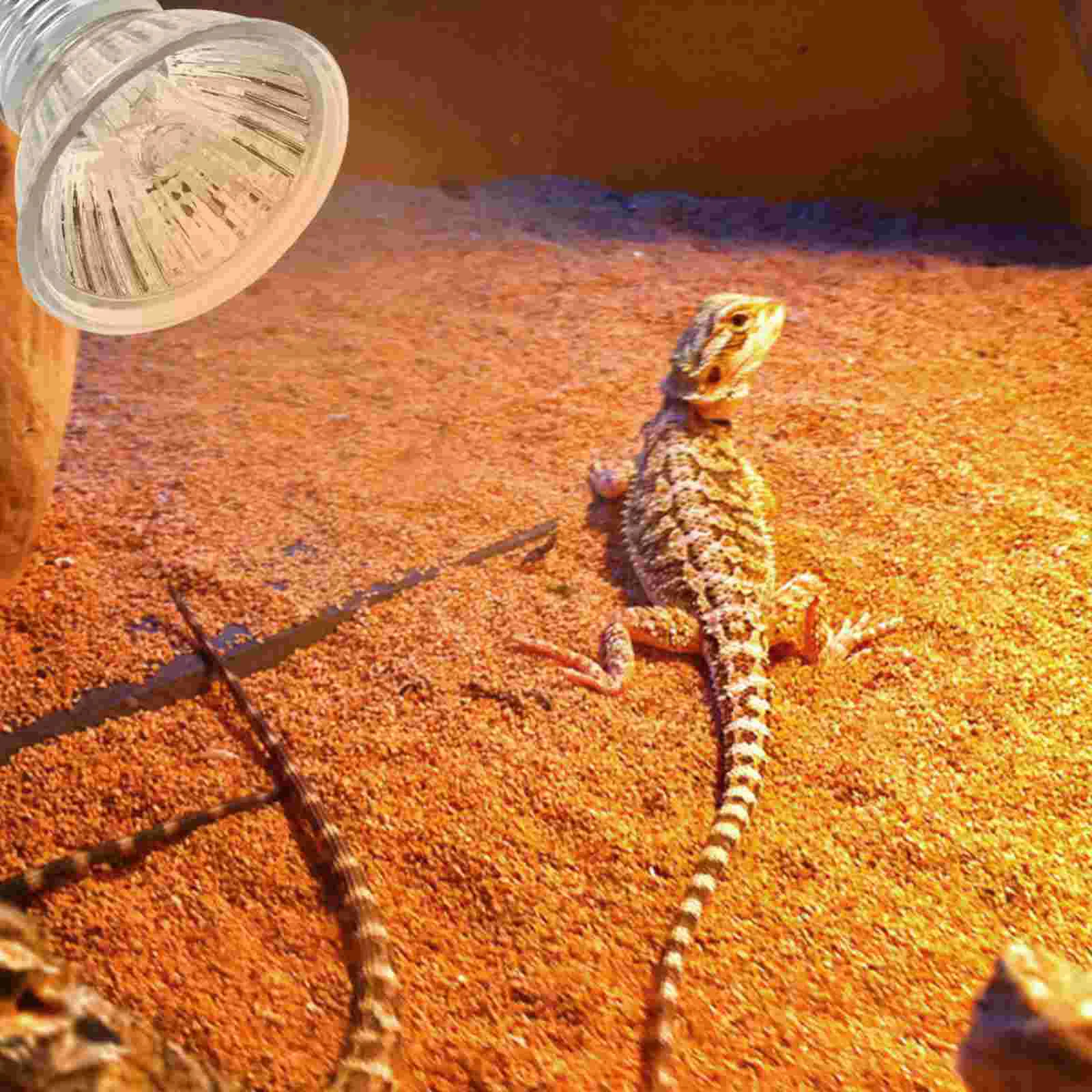 Heat Lamp Bulbs for Reptiles Aquarium Heating Turtle Tortoise Drying Backlight Animal Warm Lights