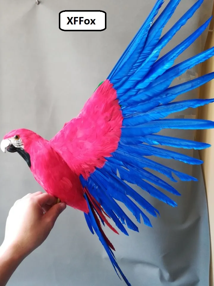 new real life red&blue wings parrot model foam&feather bird  gift about 45x60cm d0199