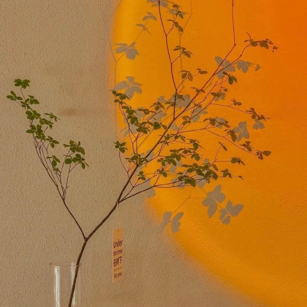 

GPM Carbon Steel Front Rear CVD Drive Shaft For ARRMA 1/8 Vendetta 4X4 3S Blx, Infraction 4X4 3S BLX