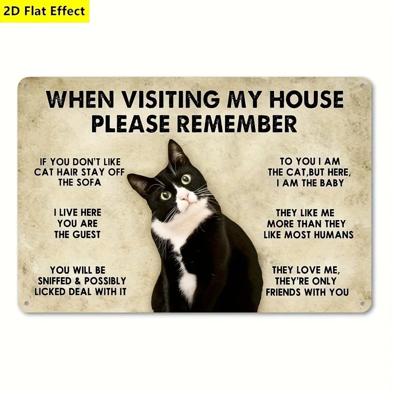 Cat-Themed Fun 