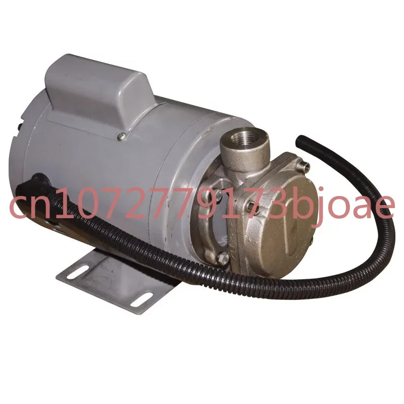 Stainless Steel High Temperature Frying Cooking Oil Pump