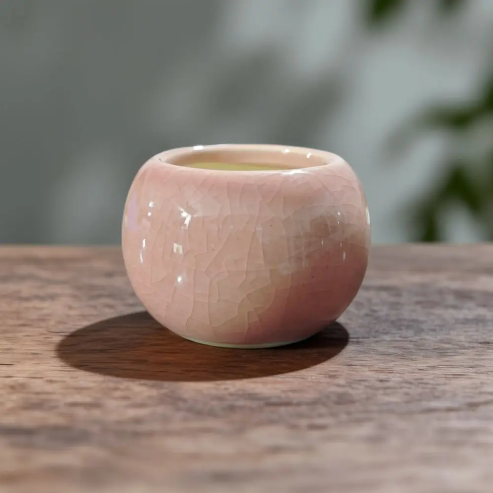 Small Ceramic Planter For Succulents Vintage Style Rough Pottery Desktop Flower Vase Minimalist Home Office Plant Holder