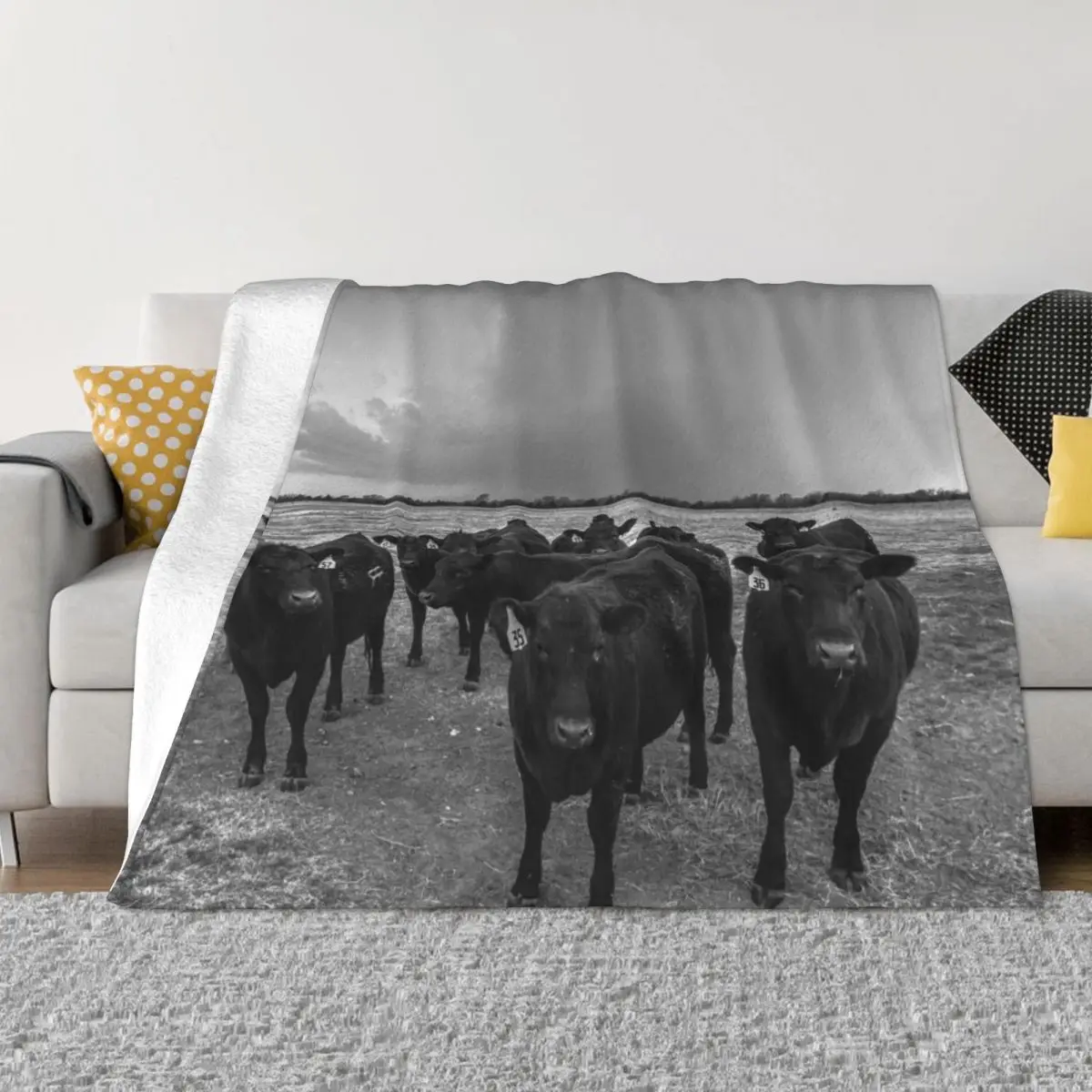 Hanging Out - Angus Cows Gather as Storm Brews in Kansas Throw Blanket Bed covers Thin Blankets