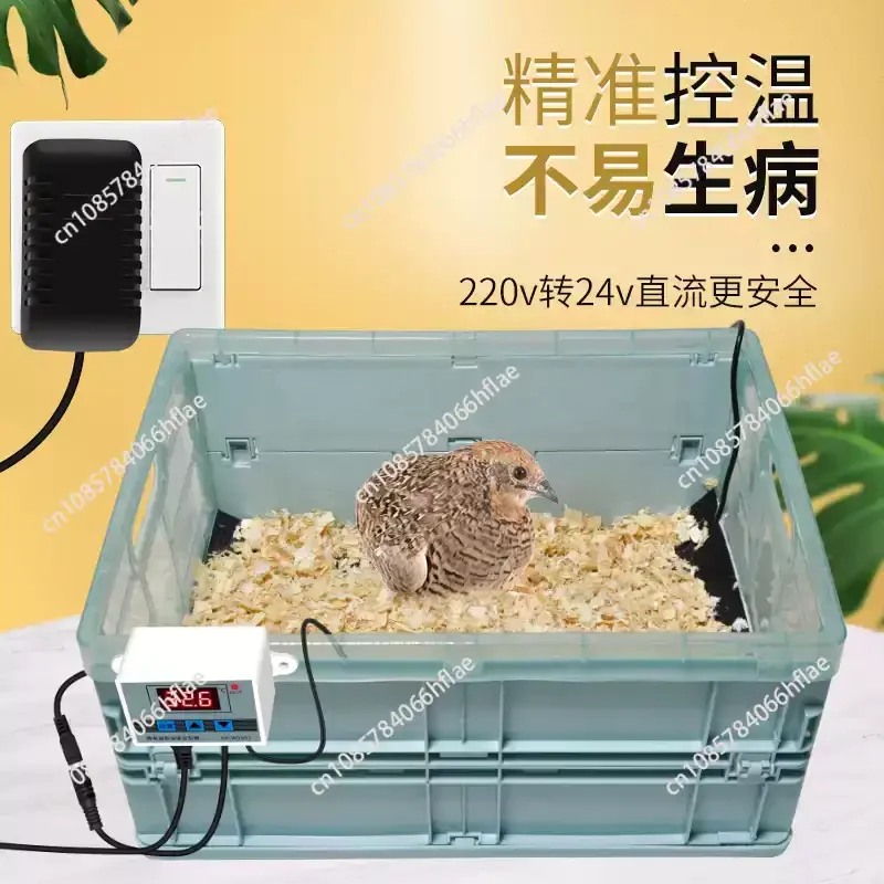 Professional Digital Brooder for All Birds | Adjustable Heat & Humidity, Easy-Clean Incubator for Chicks to Parrots