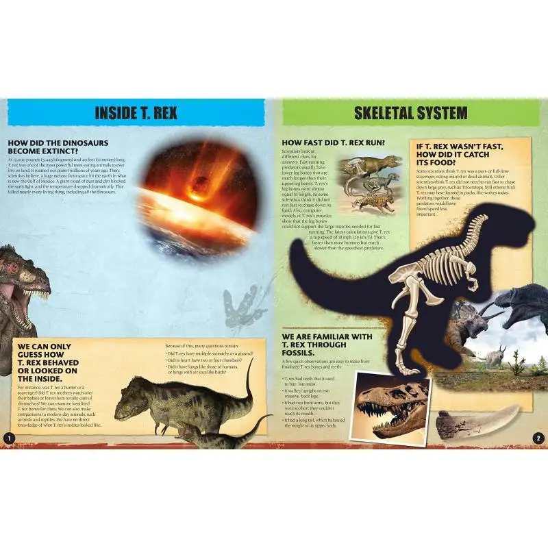 Inside Out T Rex Dennis Schatz Chartwell Books 9780785841975 Book