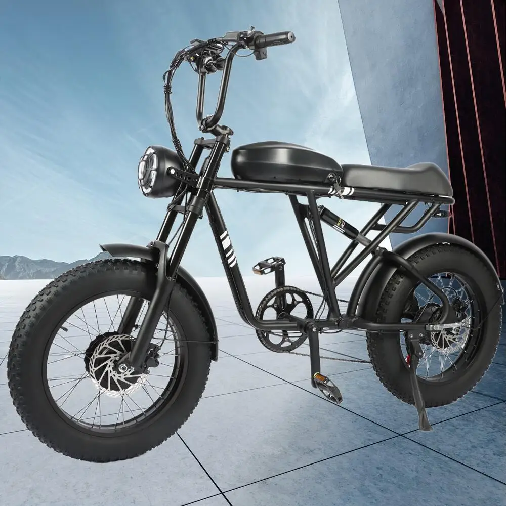 

Portable Fat Tire Mountain Electric Motorcycles Bike For Adults, 48V 20AH 20 Inch Tires, 1000W+1000W Motor Electric Bicycle