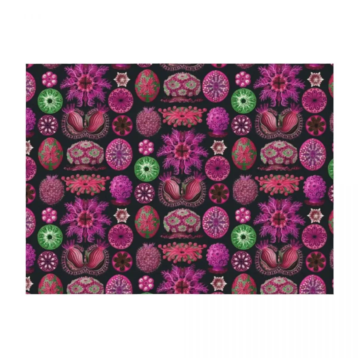 

Ernst Haeckel Ascidiae Sea Squirts Magenta Throw Blanket Hairys Summer Beddings Luxury Thicken Beach Blankets