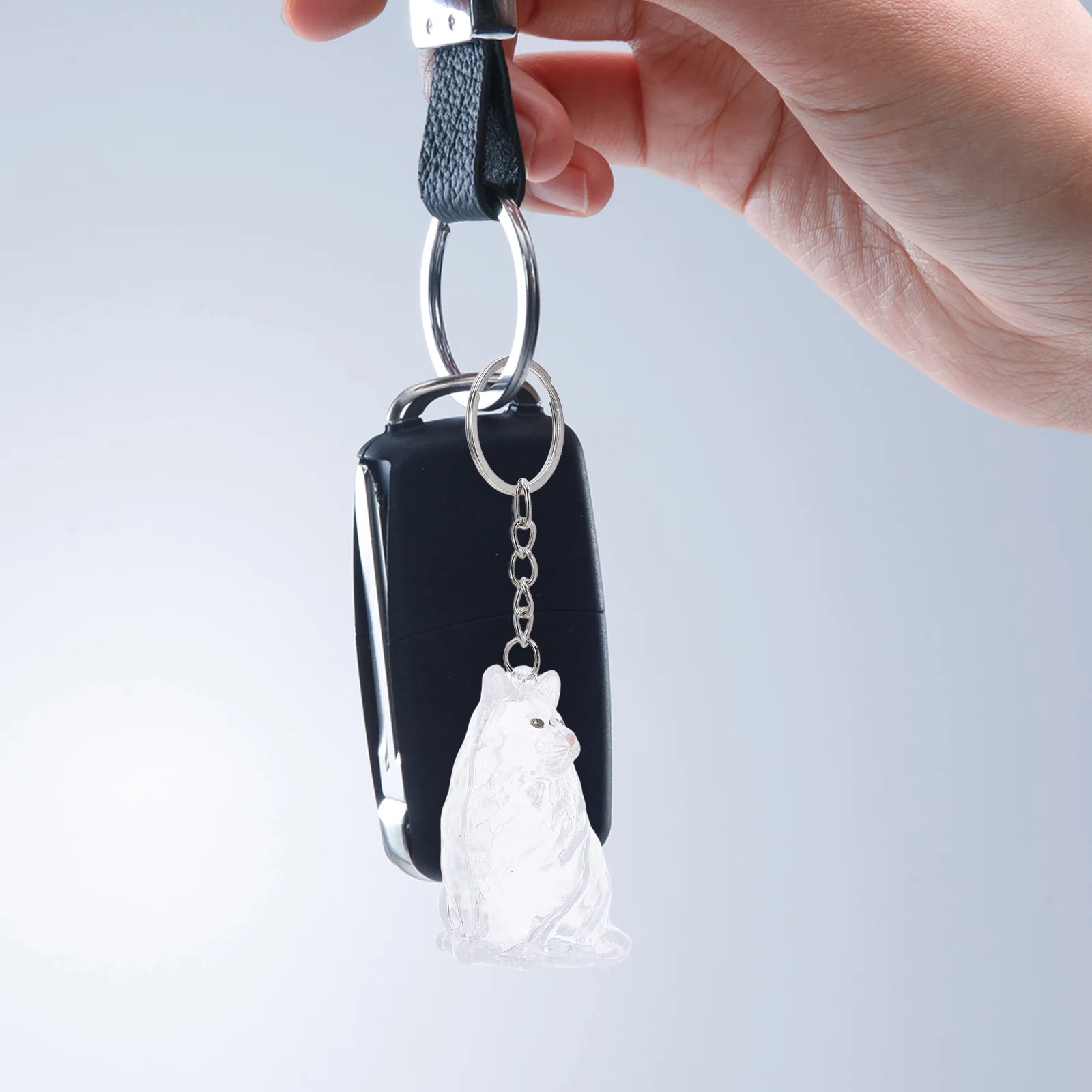 

Kawaii Cat Theme Pet Hair Keepsake Box Keychain Efficient Organizer Transparent View Convenience for Pet Lovers Everywhere