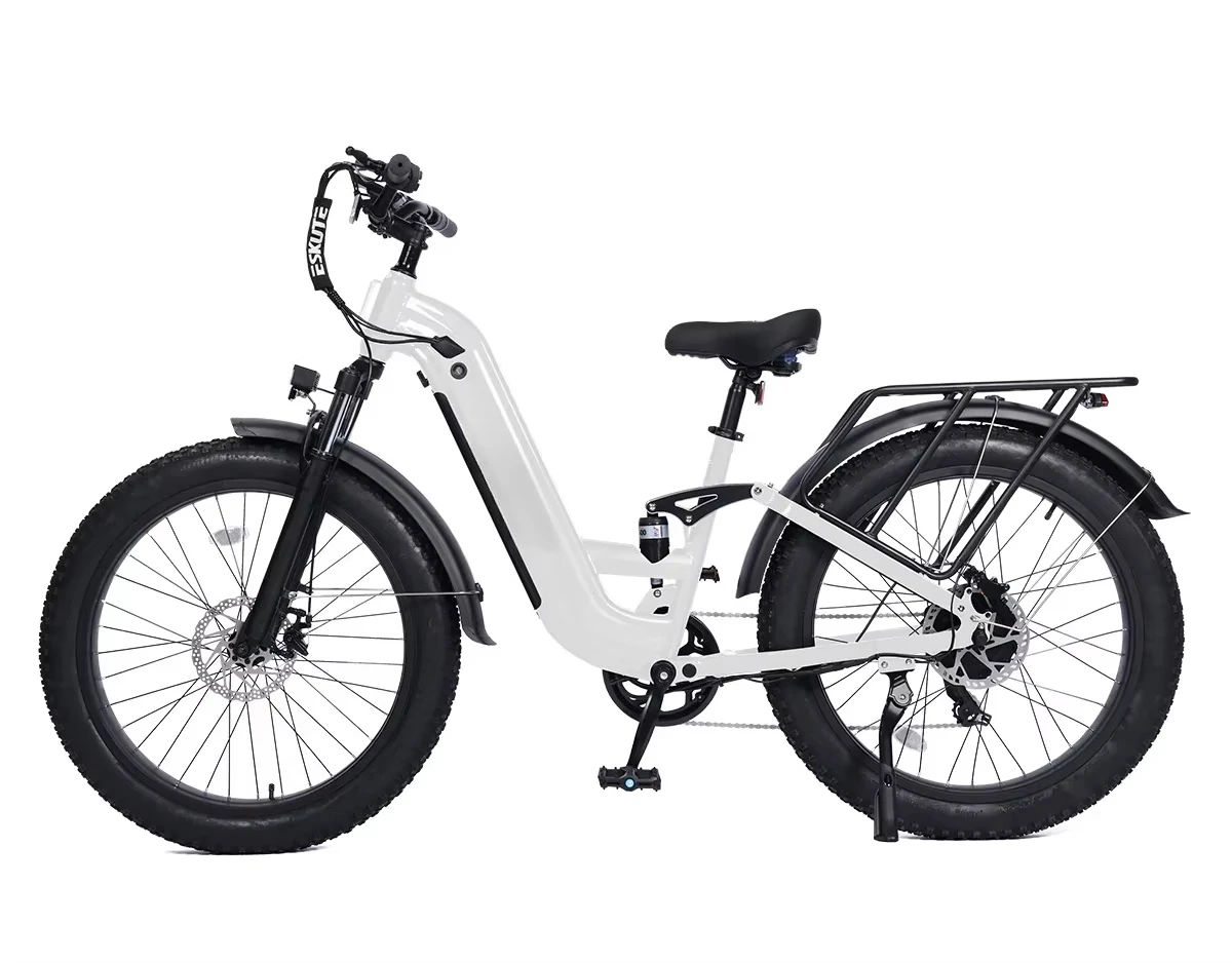 QQA Customized urban commuter electric bicycle 48V long-distance power ride, fat tire car OEM/ODM custom design, factory direct
