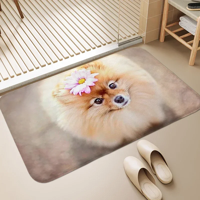 Pomeranian Dog Welcome Entrance Doormat Indoor Outdoor Floor Mat Washable Carpet for Bedroom Living Room Non-slip Kitchen Rug