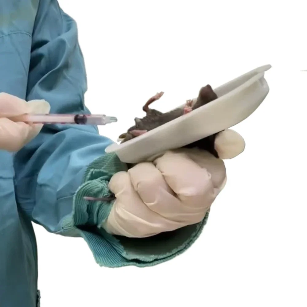 ‌New Design Laboratory Mouse Restraint Tool for C57/Nude Mice Rat Bite-Proof Handling Device for Gavage & IP Injection
