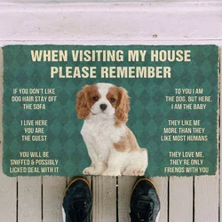 Remember Cavalier King Charles Spaniel Dogs Puppy Dogs House Doormat Decor Print Floor Door Mat Non-Slip 3D Soft Flannel Carpet