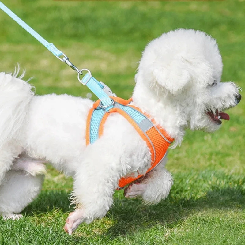 

Светоотражающий шлейка для щенков, регулируемый сетчатый нагрудный ремень без побега, жилет с цветочным принтом для прогулок на открытом воздухе, тренировочная безопасность для маленьких собак