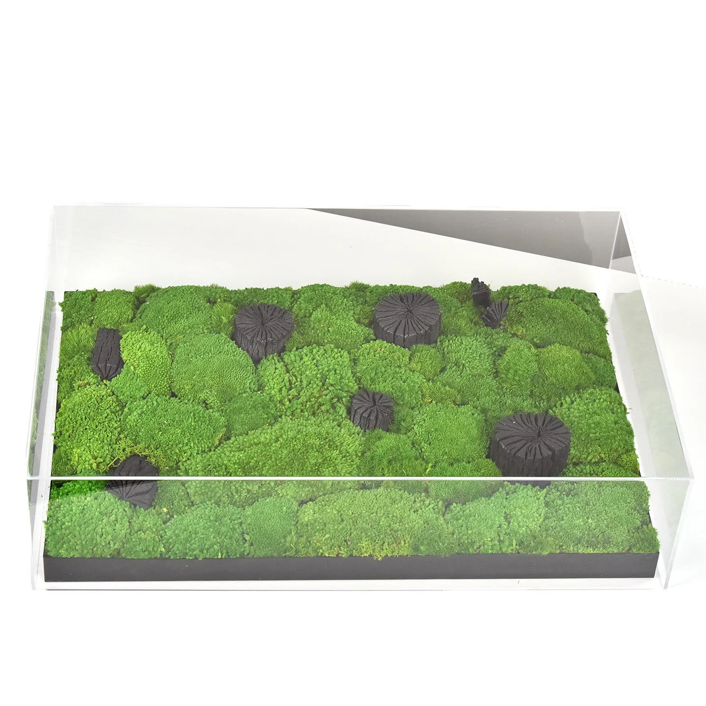 New Chinese moss micro-landscape acrylic cover ornaments exhibition hall living room dining room coffee table hotel front desk s