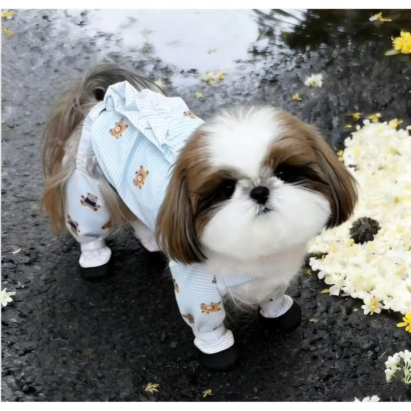 Pantalones antipolvo impermeables a rayas para perros pequeños - imagen 3