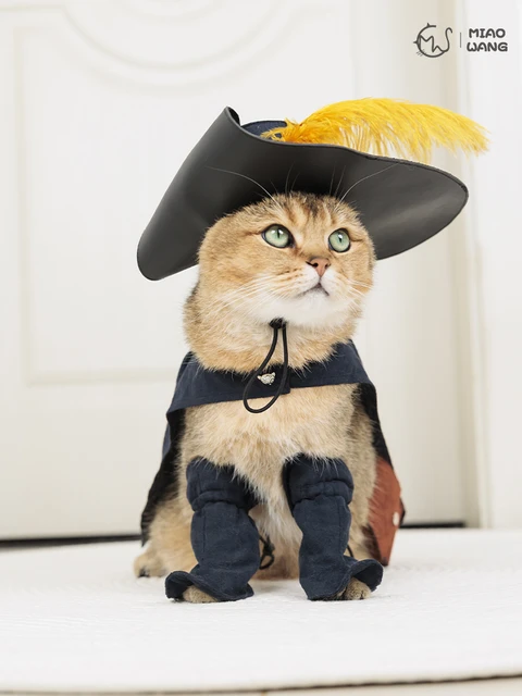 Cool Cat Costume Cosplay Costume With Boots For Pussy Cats Dogs 5 Sizes Available Choice A2089 AliExpress