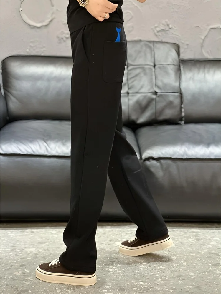 

Новые мужские повседневные брюки 2026 года: прямые, с высокой талией, вышивкой, драпировкой, широкими штанинами, класса люкс, свободного кроя, длинные, для повседневной носки