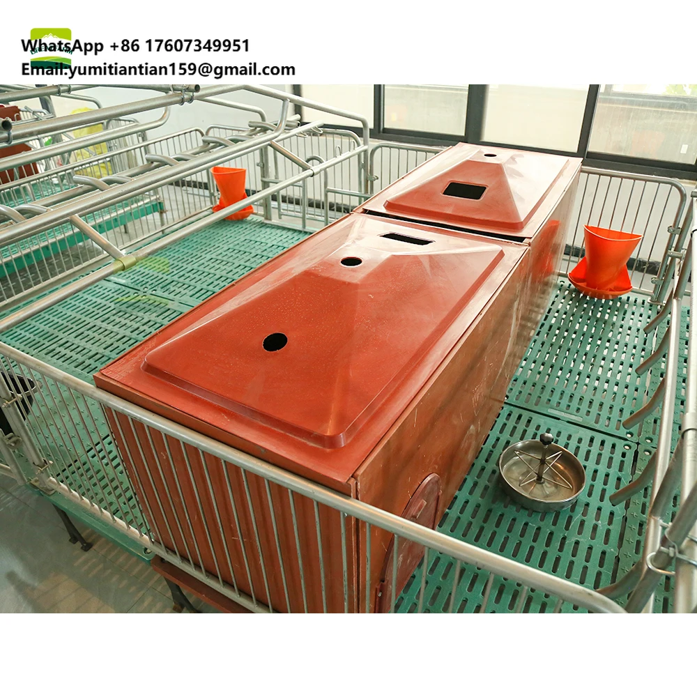 

Бестселлер, клетка для сельскохозяйственной промышленности, клетка для поросят, клетка для разведения фермы