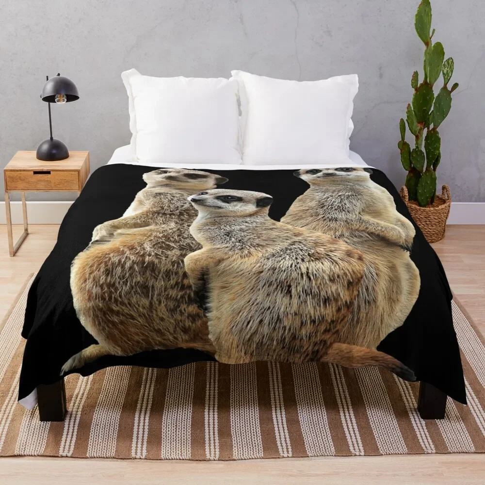 

Lions Throw Blanket wednesday Nap Luxury Thicken Sofa Throw Blankets