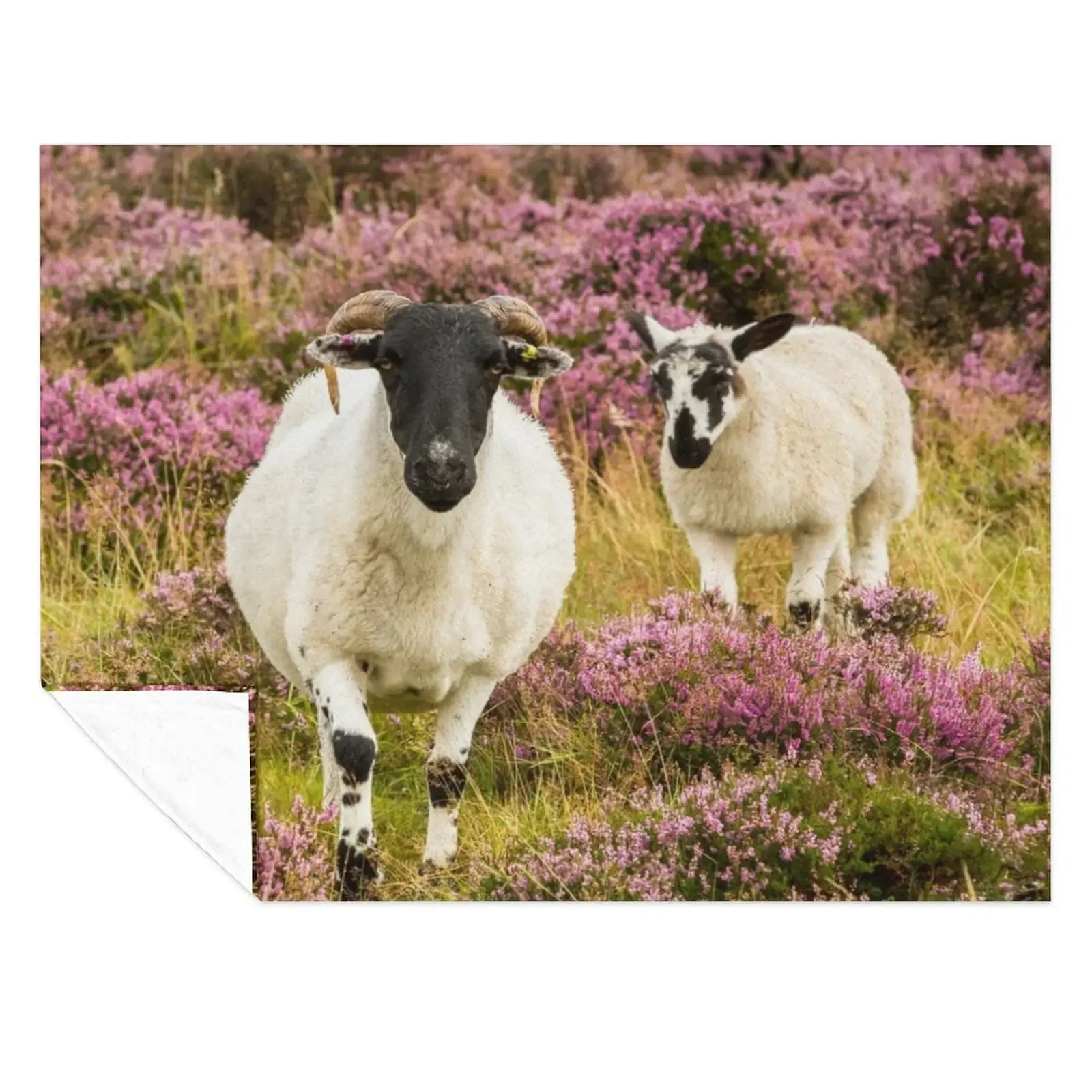 

Ewe and Lamb Throw Blanket Extra Large Throw Hairy Summer Beddings Hair Blankets