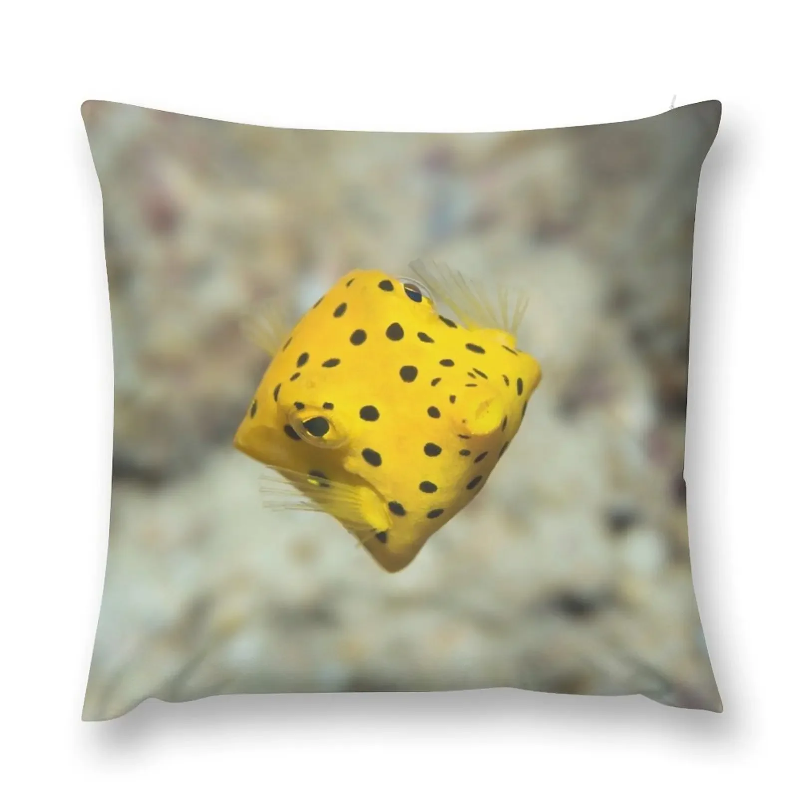 Black-spotted boxfish Throw Pillow luxury sofa pillows luxury home accessories Christmas Throw Pillows Covers New year pillow