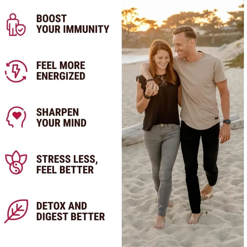 Shilajit Seaweed, Beetroot, Lion Mane Mushroom, and Black Seed Oil - Herbal Food Supplement -60 Pure Vegetarian Capsules view 3