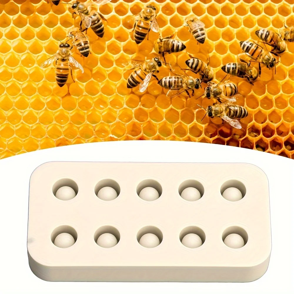 

10-hole Wangtai silicone mold mold beekeeping tool