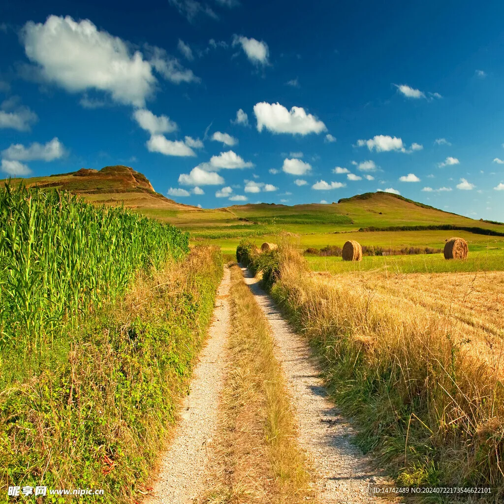 

Двигатель VX 18CXP Vertex 18 Nitro Power 2.74cc с ручным стартером и свечой зажигания 02060 для радиоуправляемых моделей автомобилей и багги масштаба 1/10, 1/8 (HSP, Himoto)